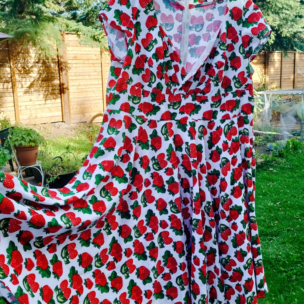 PLUS SIZE MODCLOTH STRAWBERRY DRESS π - Picture 5 of 5